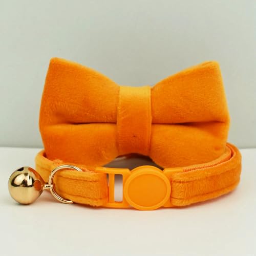TPIONEER Katzenhalsband mit Schleife, verstellbar, Sicherheitshalsband für Haustiere, Samt, verhindert Ersticken der Katze TPIONEER Katzenhalsband mit Schleife, verstellbar, Sicherheitshalsband für Haustiere, Samt, verhindert Ersticken der Katze von TPIONEER
