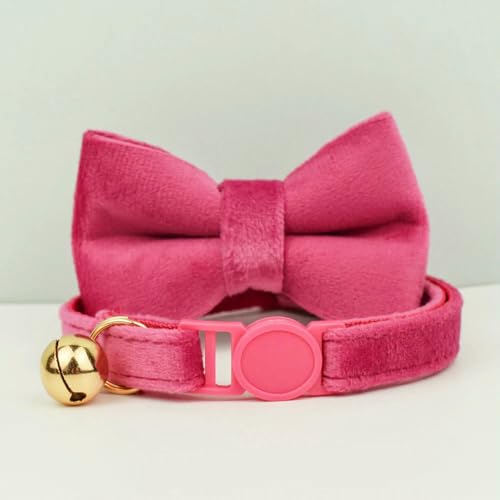 TPIONEER Katzenhalsband mit Schleife, verstellbar, Sicherheitshalsband für Haustiere, Samt, verhindert Ersticken der Katze TPIONEER Katzenhalsband mit Schleife, verstellbar, Sicherheitshalsband für Haustiere, Samt, verhindert Ersticken der Katze von TPIONEER