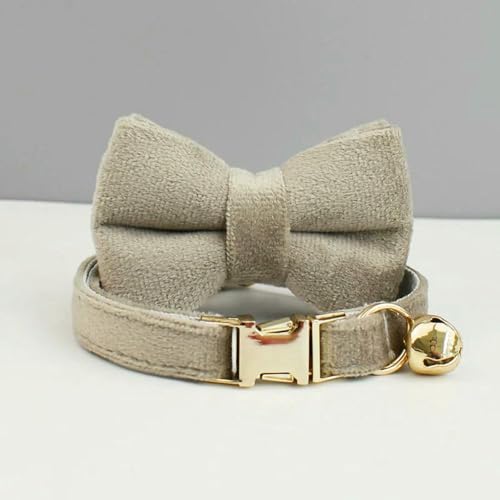 TPIONEER Personalisiertes Katzenhalsband aus Samt mit graviertem Namensschild, modisches Halsband mit Fliege im INS-Stil und Sicherheitsglocke für Katzen TPIONEER Personalisiertes Katzenhalsband aus Samt mit graviertem Namensschild, modisches Halsband mit Fliege im INS-Stil und Sicherheitsglocke für Katzen von TPIONEER