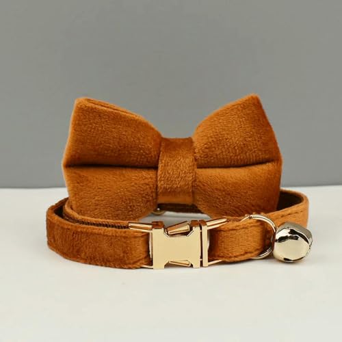 TPIONEER Personalisiertes Katzenhalsband aus Samt mit graviertem Namensschild, modisches Halsband mit Fliege im INS-Stil und Sicherheitsglocke für Katzen TPIONEER Personalisiertes Katzenhalsband aus Samt mit graviertem Namensschild, modisches Halsband mit Fliege im INS-Stil und Sicherheitsglocke für Katzen von TPIONEER