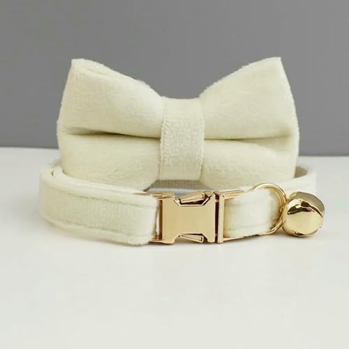 TPIONEER Personalisiertes Katzenhalsband aus Samt mit graviertem Namensschild, modisches Halsband mit Fliege im INS-Stil und Sicherheitsglocke für Katzen TPIONEER Personalisiertes Katzenhalsband aus Samt mit graviertem Namensschild, modisches Halsband mit Fliege im INS-Stil und Sicherheitsglocke für Katzen von TPIONEER