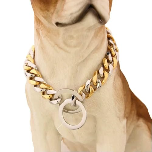 TPIONEER Robustes Hundehalsband aus Gold, 15 mm breite kubanische Gliederkette, modisches Schmuckaccessoire für große Hunde TPIONEER Robustes Hundehalsband aus Gold, 15 mm breite kubanische Gliederkette, modisches Schmuckaccessoire für große Hunde von TPIONEER