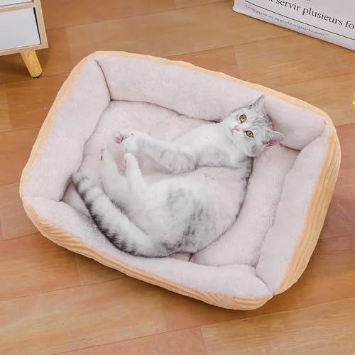 TPIONEER Schlafbett für Haustiere und Katzen, Zwingerkissen, Bett für Hunde, Katzen, Haustiersofa, Hundebedarf, beruhigendes Hundehaus, warmes Pad für Welpen, waschbar TPIONEER Schlafbett für Haustiere und Katzen, Zwingerkissen, Bett für Hunde, Katzen, Haustiersofa, Hundebedarf, beruhigendes Hundehaus, warmes Pad für Welpen, waschbar von TPIONEER