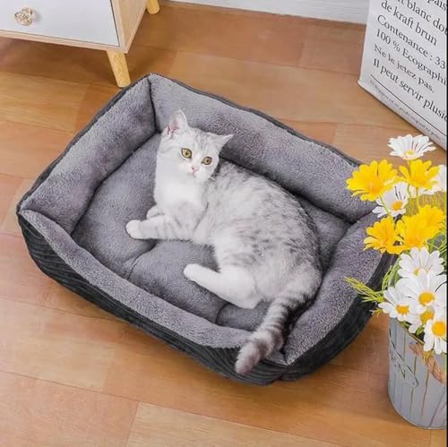 TPIONEER Schlafbett für Haustiere und Katzen, Zwingerkissen, Bett für Hunde, Katzen, Haustiersofa, Hundebedarf, beruhigendes Hundehaus, warmes Pad für Welpen, waschbar TPIONEER Schlafbett für Haustiere und Katzen, Zwingerkissen, Bett für Hunde, Katzen, Haustiersofa, Hundebedarf, beruhigendes Hundehaus, warmes Pad für Welpen, waschbar von TPIONEER