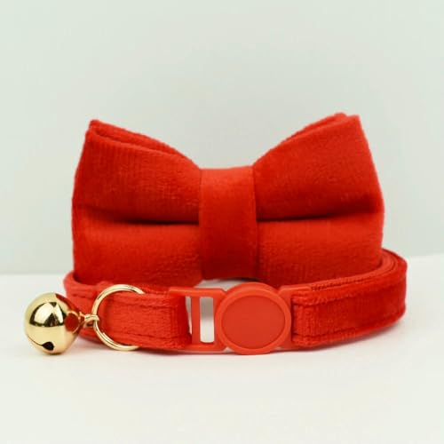 TPIONEER Sicherheits-Katzenhalsband mit Fliege, verstellbares Kätzchenhalsband aus Samt mit Glöckchen, Anti-Würge-Design für Hauskatzen TPIONEER Sicherheits-Katzenhalsband mit Fliege, verstellbares Kätzchenhalsband aus Samt mit Glöckchen, Anti-Würge-Design für Hauskatzen von TPIONEER