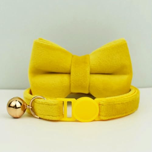 TPIONEER Sicherheits-Katzenhalsband mit Fliege, verstellbares Kätzchenhalsband aus Samt mit Glöckchen, Anti-Würge-Design für Hauskatzen TPIONEER Sicherheits-Katzenhalsband mit Fliege, verstellbares Kätzchenhalsband aus Samt mit Glöckchen, Anti-Würge-Design für Hauskatzen von TPIONEER