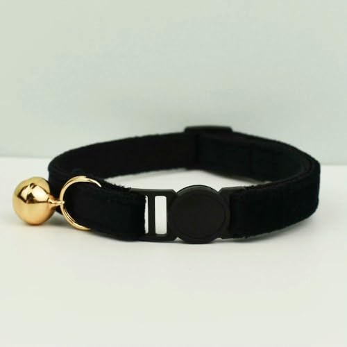 TPIONEER Sicherheits-Katzenhalsband mit Fliege, verstellbares Kätzchenhalsband aus Samt mit Glöckchen, Anti-Würge-Design für Hauskatzen TPIONEER Sicherheits-Katzenhalsband mit Fliege, verstellbares Kätzchenhalsband aus Samt mit Glöckchen, Anti-Würge-Design für Hauskatzen von TPIONEER