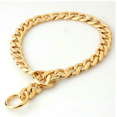 TPIONEER Vergoldetes Hundehalsband, luxuriöses Metallhalsband für Pitbulls, Bulldoggen, Französische Bulldoggen und Teddyhunde von TPIONEER