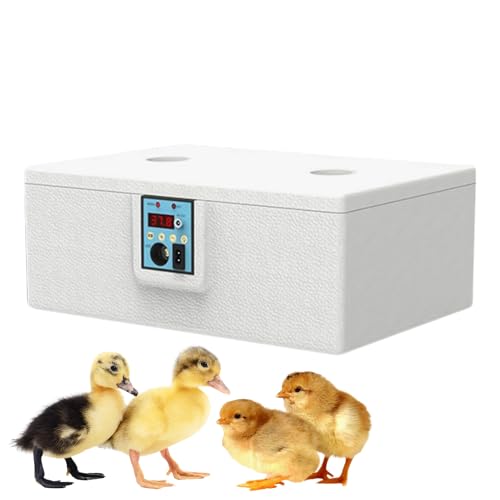 TQEBWUS Brutkasten für Eier für Hühner | Automatischer Brutkasten für das Ausbrüten – Intelligentes Aufzuchtgerät zu Hause mit stabiler Temperatur für Enten, Gänse, Wachteln und Papageien von TQEBWUS