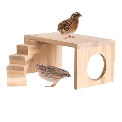 TQEBWUS Ebenen Für Nagerkäfige - Spielplatz Aus Holz Für Nager - Nagelsicheres Kleintierspielzeug Für Zwerghamster Meerschweinchen Mäuse von TQEBWUS