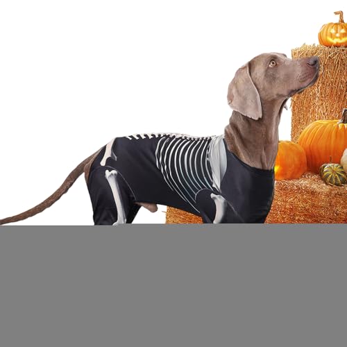 TQEBWUS Halloween Kostüme Für Hunde | Skelett-Anzug - Haustier Halloween Bodysuit Für Outdoor Freunde Cosplay Reisen Feste Fotos von TQEBWUS