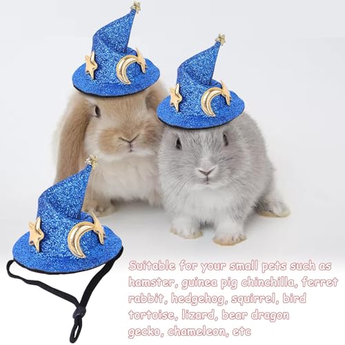 TQEBWUS Hamstermütze, Hasenmütze | Hamster-Zaubererhut für Party - Kleine Haustiermütze, Kostümmütze für Hamster, Meerschweinchen, Chinchillas, Frettchen, Kaninchen TQEBWUS Hamstermütze, Hasenmütze | Hamster-Zaubererhut für Party - Kleine Haustiermütze, Kostümmütze für Hamster, Meerschweinchen, Chinchillas, Frettchen, Kaninchen von TQEBWUS