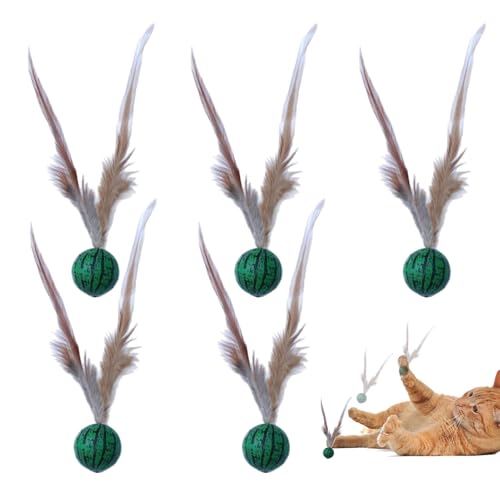 TQEBWUS Hüpfbalken -Katzenspielzeug, Hüpfwall -Katze -Spielzeug, 5 Stück interaktiver Hüpfburken Ball für gelangweiltes Haustier, Kätzchen -Unterhaltungszubehör, Multifunktionsspielzeug in Indoor TQEBWUS Hüpfbalken -Katzenspielzeug, Hüpfwall -Katze -Spielzeug, 5 Stück interaktiver Hüpfburken Ball für gelangweiltes Haustier, Kätzchen -Unterhaltungszubehör, Multifunktionsspielzeug in Indoor von TQEBWUS
