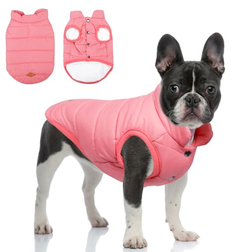 TQFlow Warmer Hundemantel, winddicht, Fleece, Wintermäntel, einfarbig, Hundekleidung, kaltes Wetter, Haustierjacke, Weste, weiche Welpenbekleidung für kleine und mittelgroße Hunde und Katzen (XXL, TQFlow Warmer Hundemantel, winddicht, Fleece, Wintermäntel, einfarbig, Hundekleidung, kaltes Wetter, Haustierjacke, Weste, weiche Welpenbekleidung für kleine und mittelgroße Hunde und Katzen (XXL, von TQFlow