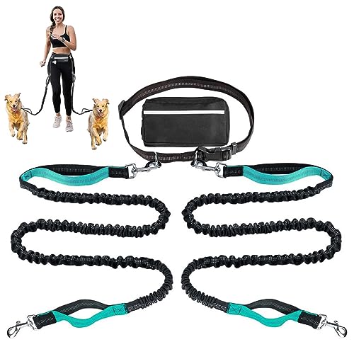Doppelte Hundeleine, Multifunktionale Reflektierende Stiche Hände Frei Hundeleine Für Laufen Walking Jogging Training Wandern Mit Gürteltasche (Color : Lake Blue) von TQQEPOOL