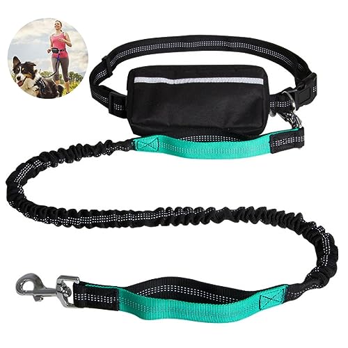 Freihändige Hundeleine, Hunde-Laufleinen-Gürtel Zum Laufen, Joggen, Hunde-Gürteltasche Mit Reißverschluss, Doppelt Gepolsterte Griffe (Color : Lake Blue) von TQQEPOOL