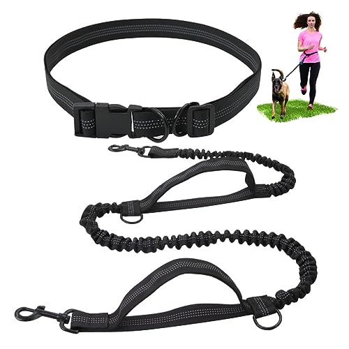 Freihändige Hundeleine, Multifunktionale Verstellbare Hundeleine Zum Laufen, Mit Reflektierenden Nähten for Mittlere Bis Kleine Hunde (Color : Black) von TQQEPOOL