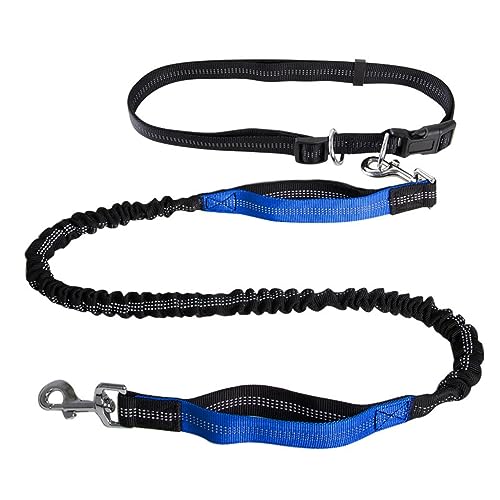 Freihändige Hundeleine,Hundeleine Mit Doppelgriff,Reflektierende Nähte for Spazierengehen,Verstellbarer Hüftgurt for Laufen, Spazierengehen Und Joggen(Color:Blue) von TQQEPOOL