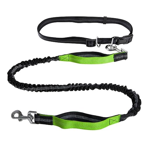 Freihändige Hundeleine,Hundeleine Mit Doppelgriff,Reflektierende Nähte for Spazierengehen,Verstellbarer Hüftgurt for Laufen, Spazierengehen Und Joggen(Color:Green) von TQQEPOOL