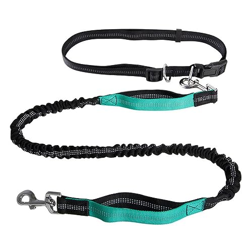 Freihändige Hundeleine,Hundeleine Mit Doppelgriff,Reflektierende Nähte for Spazierengehen,Verstellbarer Hüftgurt for Laufen, Spazierengehen Und Joggen(Color:Lake Blue) von TQQEPOOL