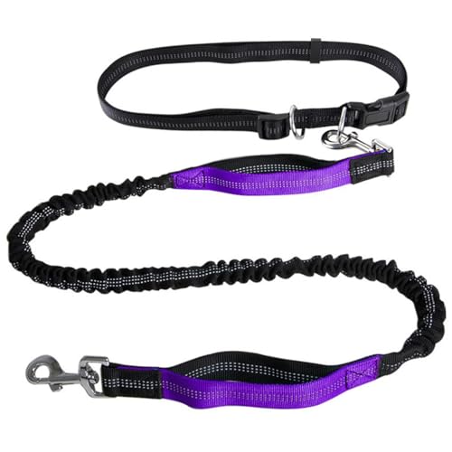 Freihändige Hundeleine,Hundeleine Mit Doppelgriff,Reflektierende Nähte for Spazierengehen,Verstellbarer Hüftgurt for Laufen, Spazierengehen Und Joggen(Color:Purple) von TQQEPOOL