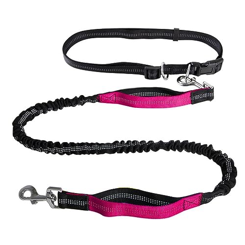Freihändige Hundeleine,Hundeleine Mit Doppelgriff,Reflektierende Nähte for Spazierengehen,Verstellbarer Hüftgurt for Laufen, Spazierengehen Und Joggen(Color:Rose Red) von TQQEPOOL