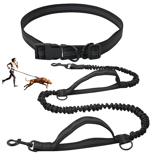 Freihändige Hundeleine,Hundespaziergangsgürtel,Verstellbare Hundeleine Mit Doppelt Verstärkten Anti-Schock-Bungees Für Mittlere Bis Kleine Hunde (Color : Black) von TQQEPOOL