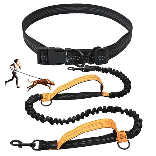 Freihändige Hundeleine,Hundespaziergangsgürtel,Verstellbare Hundeleine Mit Doppelt Verstärkten Anti-Schock-Bungees Für Mittlere Bis Kleine Hunde (Color : Orange) von TQQEPOOL