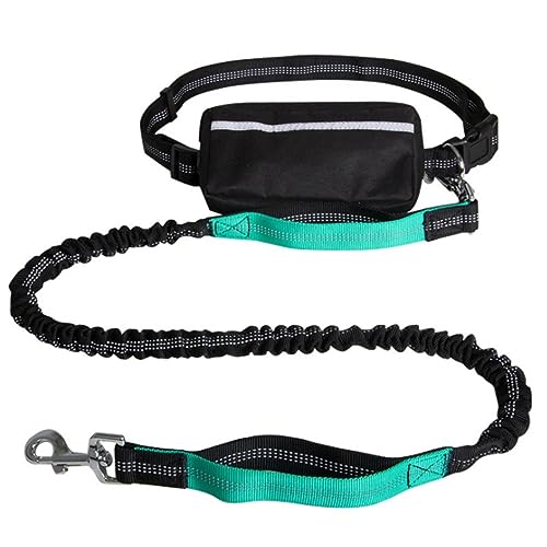Freihändige Hundeleine,Lauf-Bungee-Leine for Hunde Mit Reißverschlusstasche for Spazierengehen,Joggen Und Laufen Mit Ihrem Hund(Color:Lake Blue) von TQQEPOOL