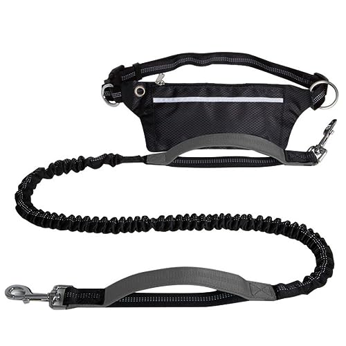 Freihändige Hundeleine,Robuste Hundeleinen Mit Reißverschlusstasche Und Stark Reflektierenden Fäden for Spazierengehen,Joggen Und Laufen Mit Ihrem Hund(Color:Gray) von TQQEPOOL