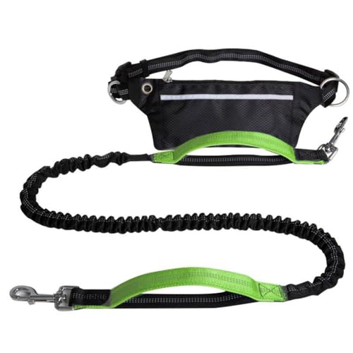 Freihändige Hundeleine,Robuste Hundeleinen Mit Reißverschlusstasche Und Stark Reflektierenden Fäden for Spazierengehen,Joggen Und Laufen Mit Ihrem Hund(Color:Green) von TQQEPOOL