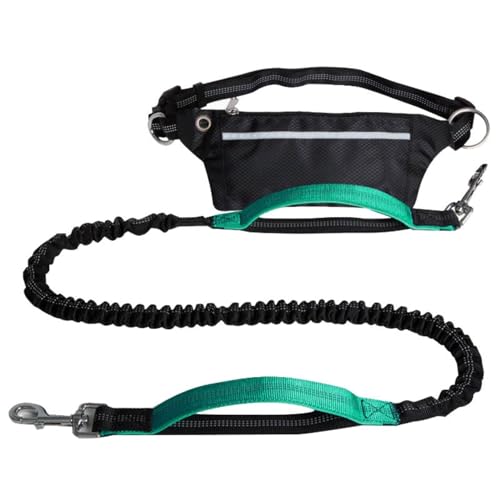 Freihändige Hundeleine,Robuste Hundeleinen Mit Reißverschlusstasche Und Stark Reflektierenden Fäden for Spazierengehen,Joggen Und Laufen Mit Ihrem Hund(Color:Lake Blue) von TQQEPOOL