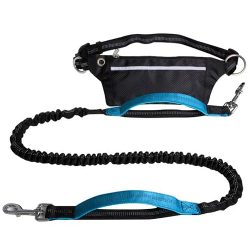 Freihändige Hundeleine,Robuste Hundeleinen Mit Reißverschlusstasche Und Stark Reflektierenden Fäden for Spazierengehen,Joggen Und Laufen Mit Ihrem Hund(Color:Light Blue) von TQQEPOOL