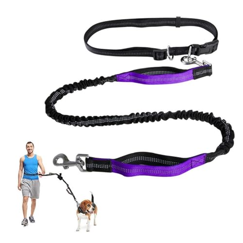 Freihändige Hundeleine,Verstellbarer Lauf-Hüftgurt for Hunde,Leine Mit Reflektierenden Nähten Und Zwei Gepolsterten Griffen for Laufen,Gehen Und Joggen(Color:Purple) von TQQEPOOL