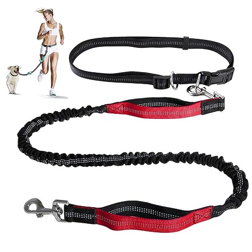 Freihändige Hundeleine,Verstellbarer Taillengurt Und Aufrollbare Bungee-Leine Mit Zwei Griffen,Jogging-Hundeleine Mit Reflektierenden Nähten (Color : Red) von TQQEPOOL