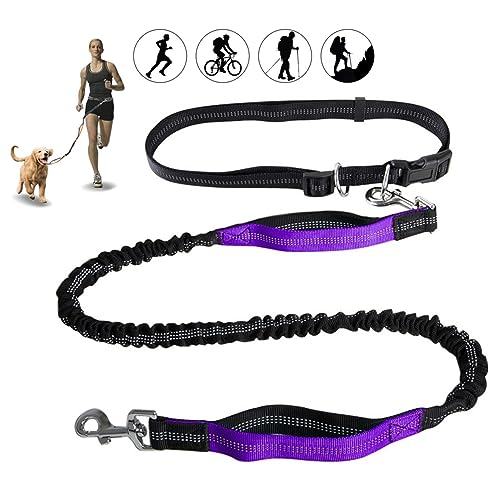Freihändige Hundeleine Mit Doppelten Anti-Schock-Bungees Und Gepolsterten Griffen, Reflektierende Taille Laufleine for Mittelgroße Hunde (Color : Purple) von TQQEPOOL