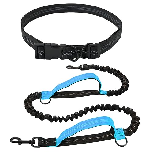 Freihändige Hundeleine Verstellbare Laufleine Mit Doppelten Anti-Schock-Bungees Und Gepolsterten Griffen (Color : Blue) von TQQEPOOL