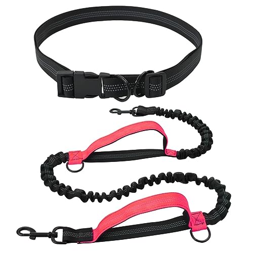 Freihändige Hundeleine Verstellbare Laufleine Mit Doppelten Anti-Schock-Bungees Und Gepolsterten Griffen (Color : Red) von TQQEPOOL
