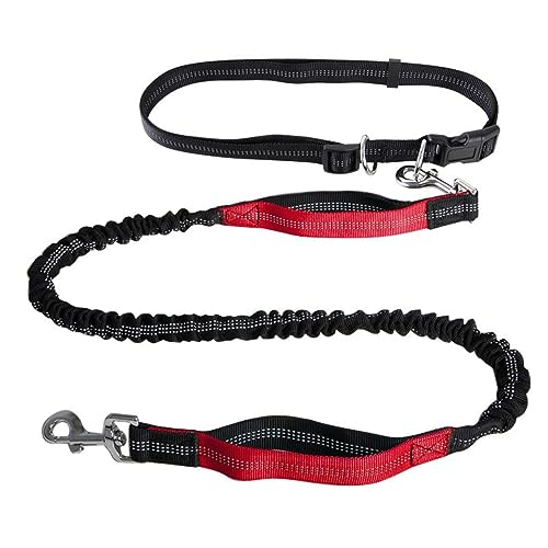 Hände Frei Hundeleine for Spaziergänge,Laufen,Wandern,Dual-Handle Kontrollierbare Taktische Ausbildung Hundeleine,Stoßdämpfende Gürtel Hundeleine (Color : Red) von TQQEPOOL