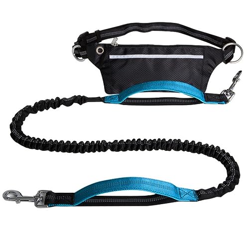 Hands Free Hundeleine,Taille Hund Läuft Leine Für Mittlere Bis Große Hunde,Einziehbare Bungee Hände Frei Leine Für Walking Jogging Training Wandern (Color : Blue) von TQQEPOOL