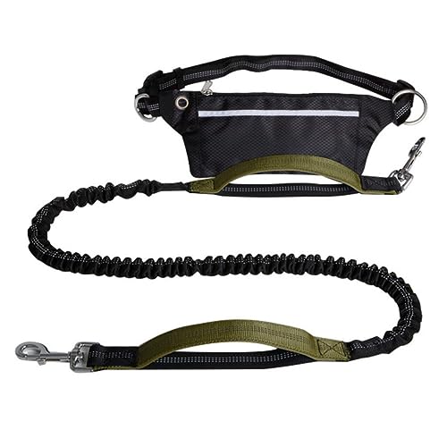 Hands Free Hundeleine,Taille Hund Läuft Leine Für Mittlere Bis Große Hunde,Einziehbare Bungee Hände Frei Leine Für Walking Jogging Training Wandern (Color : Green) von TQQEPOOL