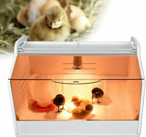 Hühnerbrutkasten,Intelligenter Hühnerbrutkasten,Geflügelheizung Mit Heizlampe Geeignet for Küken/Enten/Papageien/Eidechsen(48 * 30 * 32cm) von TQQEPOOL
