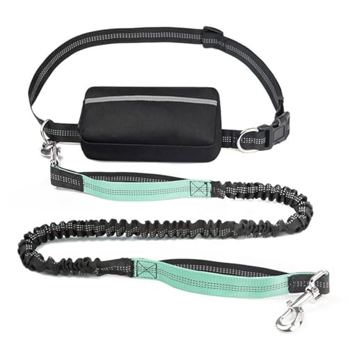 Reflektierende Freihändige Trainingsleine for Hunde,Bungee-Hüftleine Mit Zwei Griffen Und Reißverschlusstasche for Spazierengehen,Joggen Und Laufen(Color:Lake Blue) von TQQEPOOL