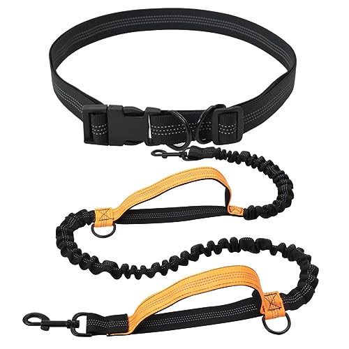 Robuste, Freihändige Hundeleine,Verstellbare Hüftleine for Hunde Mit Zwei Gepolsterten Griffen for Laufen, Gehen Und Joggen(Color:Orange) von TQQEPOOL
