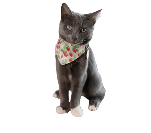 Strawberry Shortcake x Reise-Katzenhalstuch, verstellbares Katzenhalsband mit Sicherheitsschnalle für Katzen und Kätzchen Strawberry Shortcake x Reise-Katzenhalstuch, verstellbares Katzenhalsband mit Sicherheitsschnalle für Katzen und Kätzchen von TRAVEL CAT