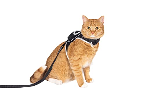 Travel Cat Stray Harness and Leash Set - Adjustable Velcro Mesh Cat Harness and Strong Nylon Leash Kit - Comfort Escape Proof Harness for Cats, Kitten for Outdoor Walking, Hiking (MEDIUM: 28-33 IN) von TRAVEL CAT