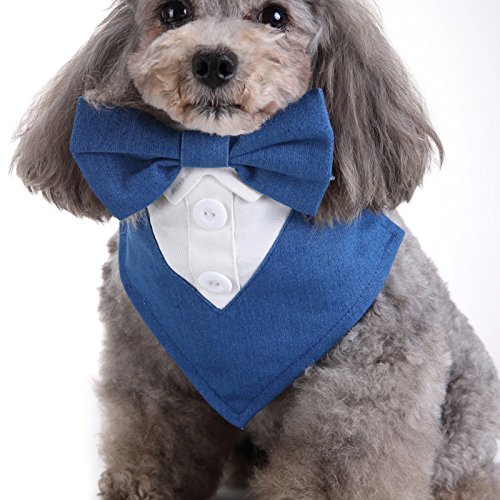 TREESTAR Bekleidung für Haustiere 2018 Kleidung für Hunde Sommer und Herbst Krawatte Krawatte Haustier Dreieck Schal Krawatte von TREESTAR