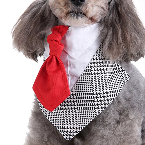 TREESTAR Bekleidung für Haustiere 2018 Neue Kleidung für Hunde Sommer und Herbst Krawatte Krawatte Haustier Dreieck Schal Krawatte von TREESTAR