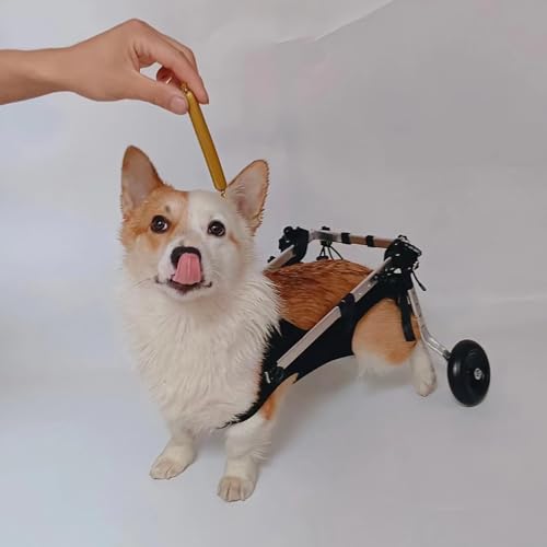 Hunderollstuhl 2 Reifen-Gehhilfen für Gelähmte Gliedmaßen von Hunden, Rollstuhl zur Unterstützung der Hundemobilität zur Wiederherstellung der Mobilität (Size : Size S) von TREGOO