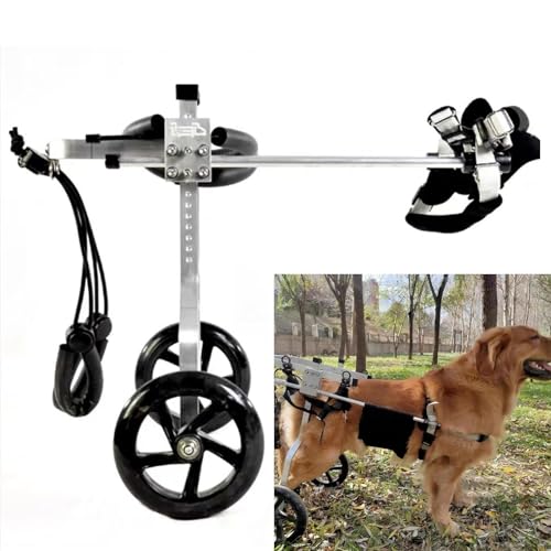 Hunderollstuhl Rehabilitationswagen für Haustiere aus Metall mit Installationsdiagramm, Verstellbarer Hüftrollstuhl für Hunde/Doggie, Gehhilfe für Die Hinterbeine, 24 Größen (Size : Size XXL C) von TREGOO